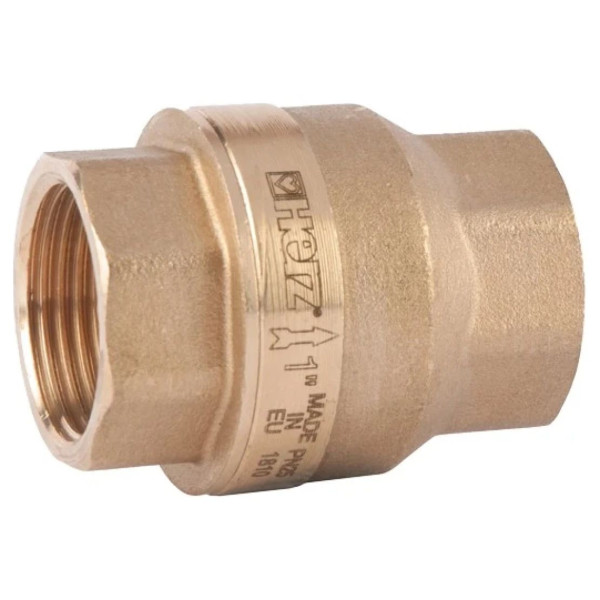 Зворотній клапан HERZ 1 1/2" пружинний