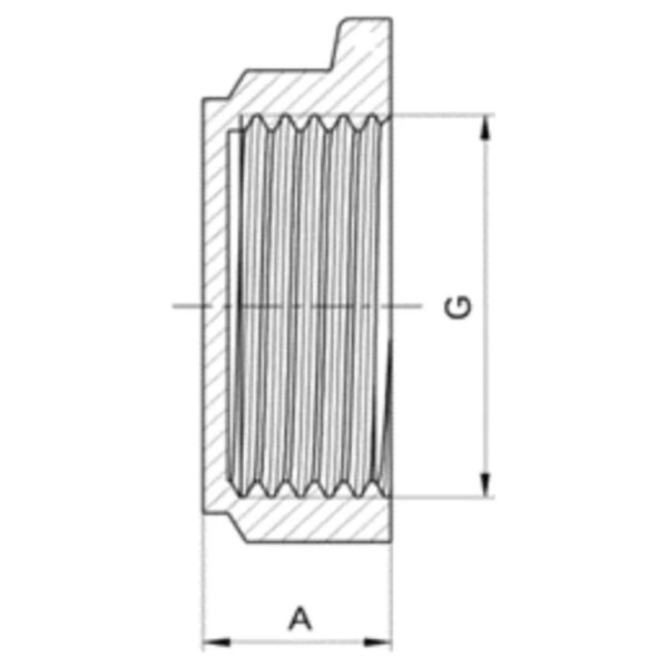 Заглушка ASG 3/4" В нікель (5/500)